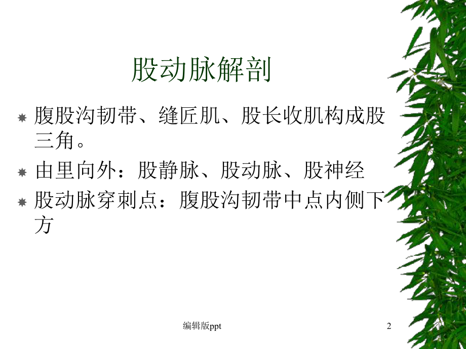 假性动脉瘤课件.ppt_第2页