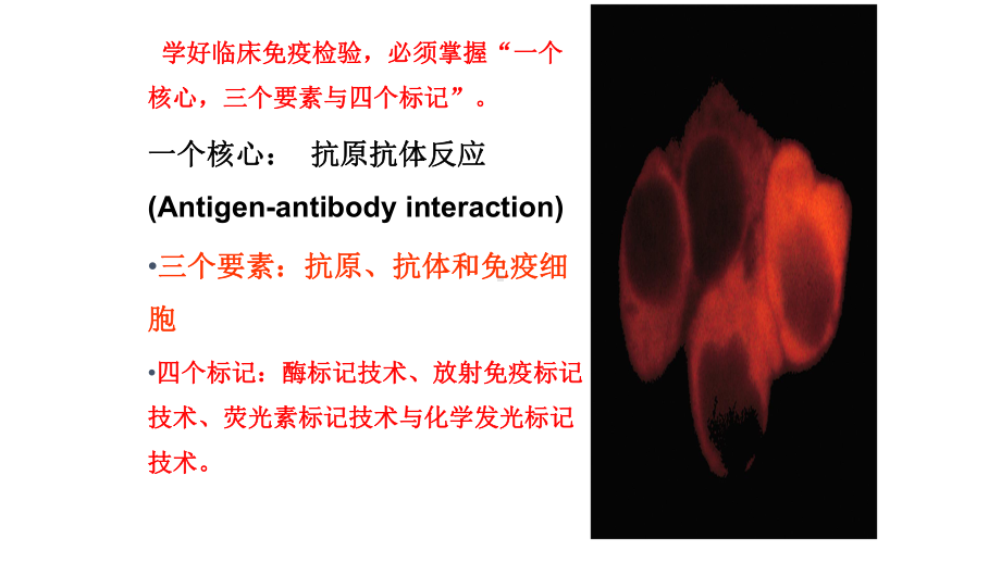 临床免疫学检验ClinicalImmunoassay课件.ppt_第1页