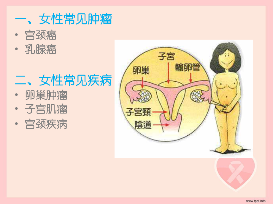 妇科二癌三疾病课件.ppt_第3页