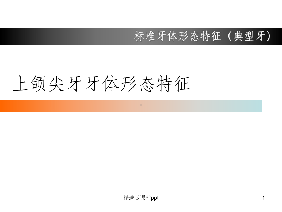 上颌尖牙牙体形态简述课件整理.ppt_第1页