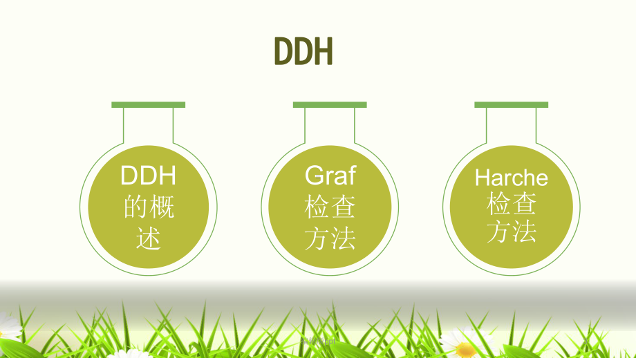 DDH的超声诊断课件.pptx_第3页