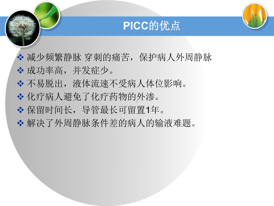 picc的应用与护理-课件.ppt_第2页