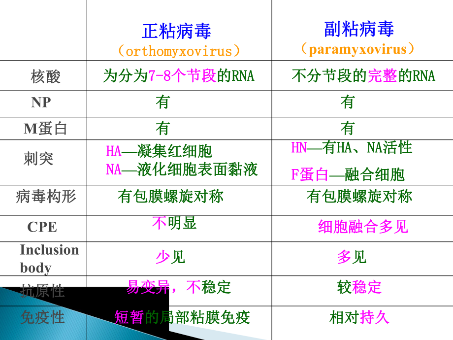 其他呼吸道病毒课件.ppt_第2页