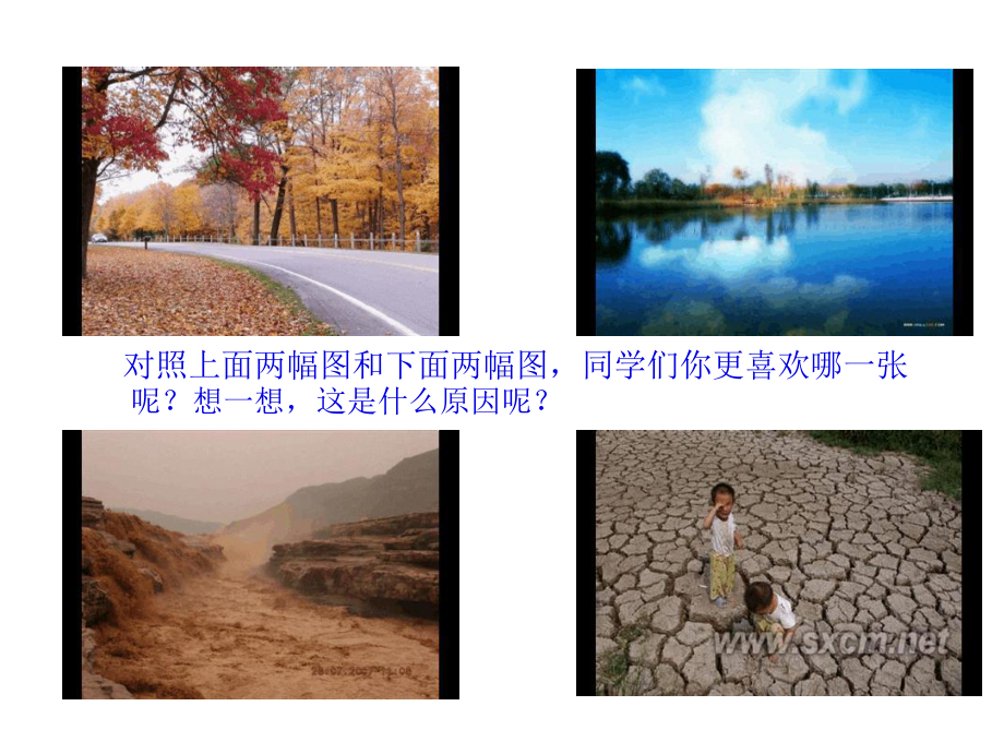 保护环境人人有责班会课件共.ppt_第3页