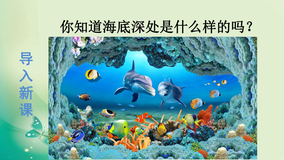 《海底世界》优质课件部编版1.ppt_第2页