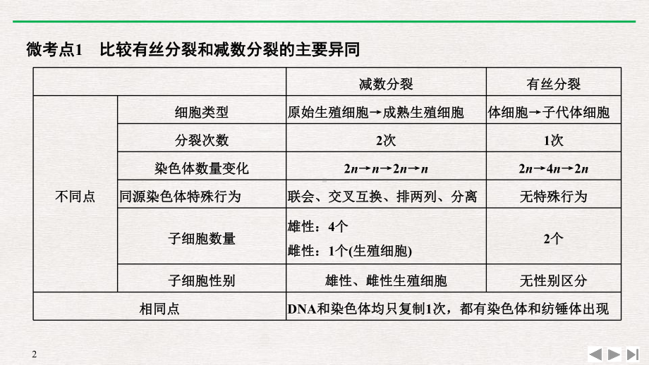 《微专题三减数分裂的解题方法》基因和染色体的关系(完美版)课件.pptx_第2页