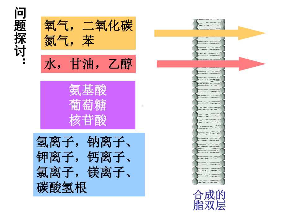 人教版高中生物必修一课件：细胞的物质输入和输出.ppt_第2页