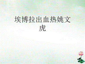 埃博拉出血热课件整理.ppt