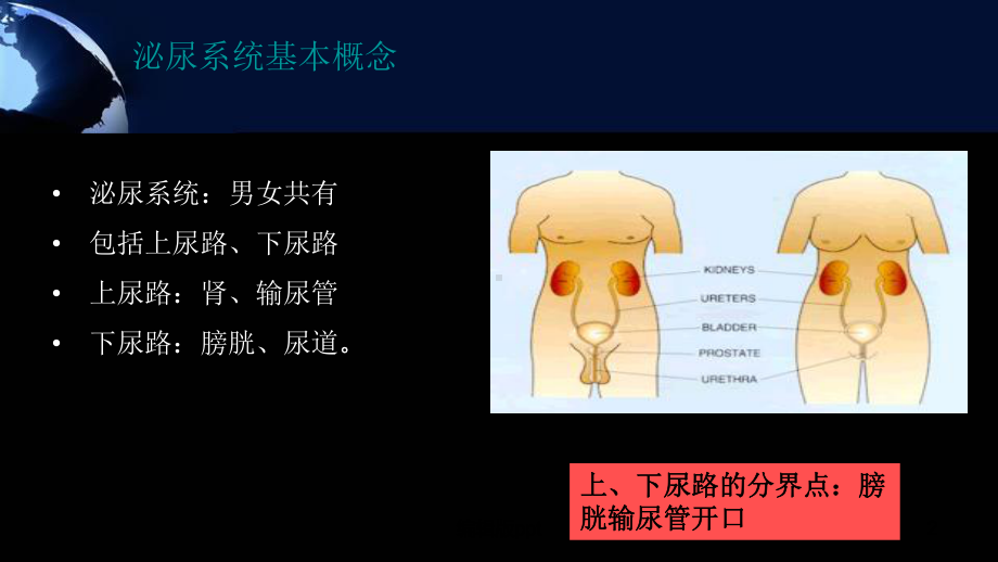 单纯性尿路感染ppt课件.ppt_第2页