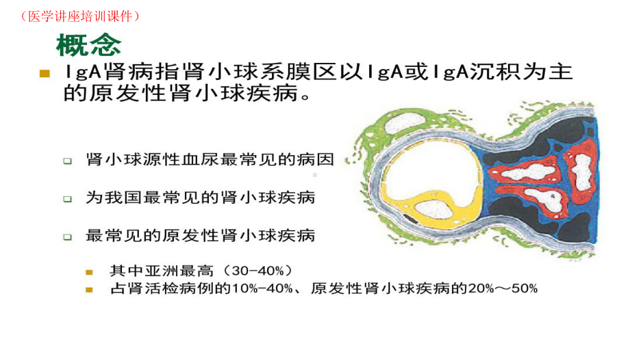 IGA肾病(医学讲座培训课件).pptx_第1页