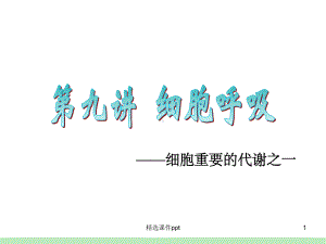 《细胞呼吸》课件-2.ppt