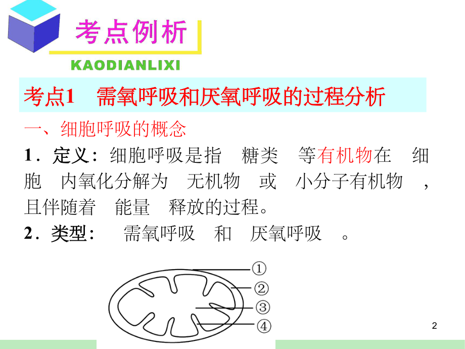 《细胞呼吸》课件-2.ppt_第2页