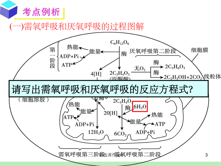 《细胞呼吸》课件-2.ppt_第3页