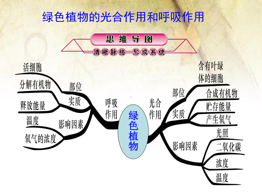 光合作用和呼吸作用课件整理.ppt_第2页