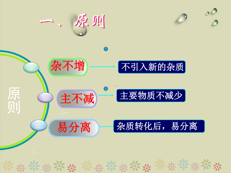 中考专题复习《物质的分离与提纯》课件.ppt_第2页