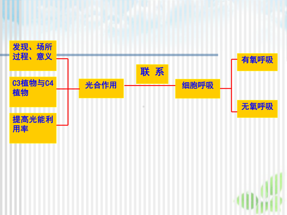 光合作用与细胞呼吸课件(自制)1.ppt_第3页