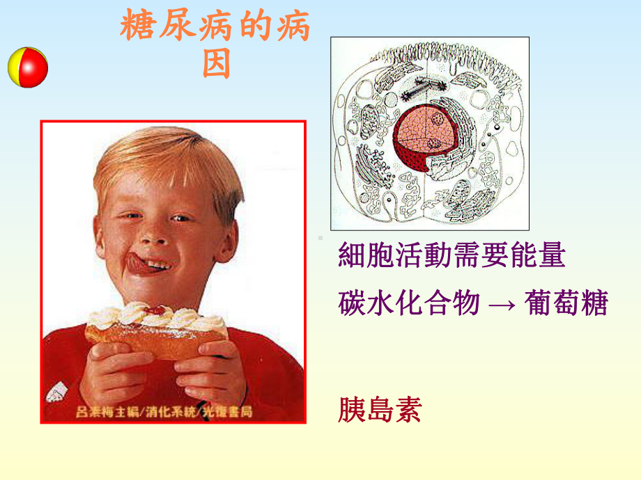 全球糖尿病人课件.ppt_第3页