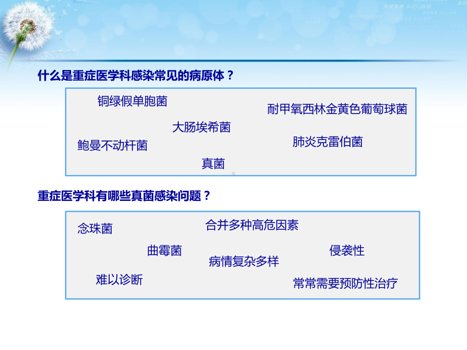 侵袭性真菌感染的病原学课件.ppt_第2页