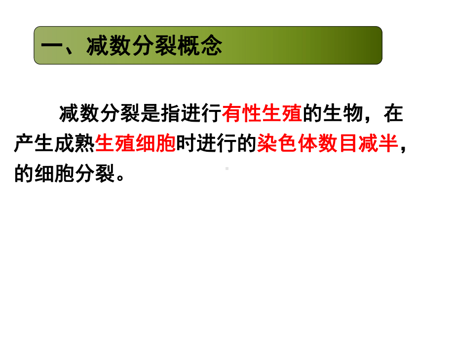 人教版必修二减数分裂染色体行为及数量变化课件.pptx_第1页