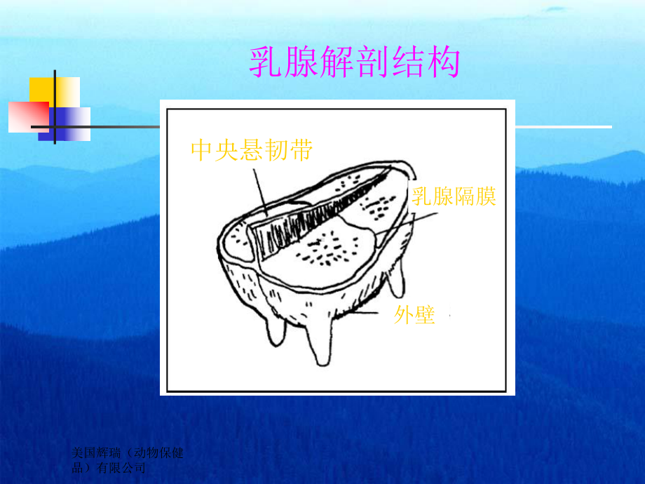 奶牛乳腺炎的防治课件.ppt_第3页