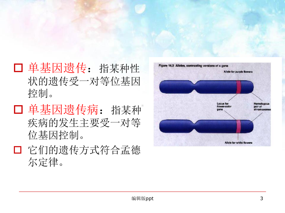 单基因遗与单基因遗传病医学课件.ppt_第3页