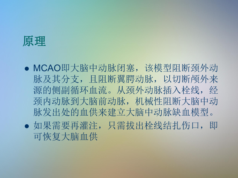 大鼠MCAO模型的制作课件.pptx_第2页