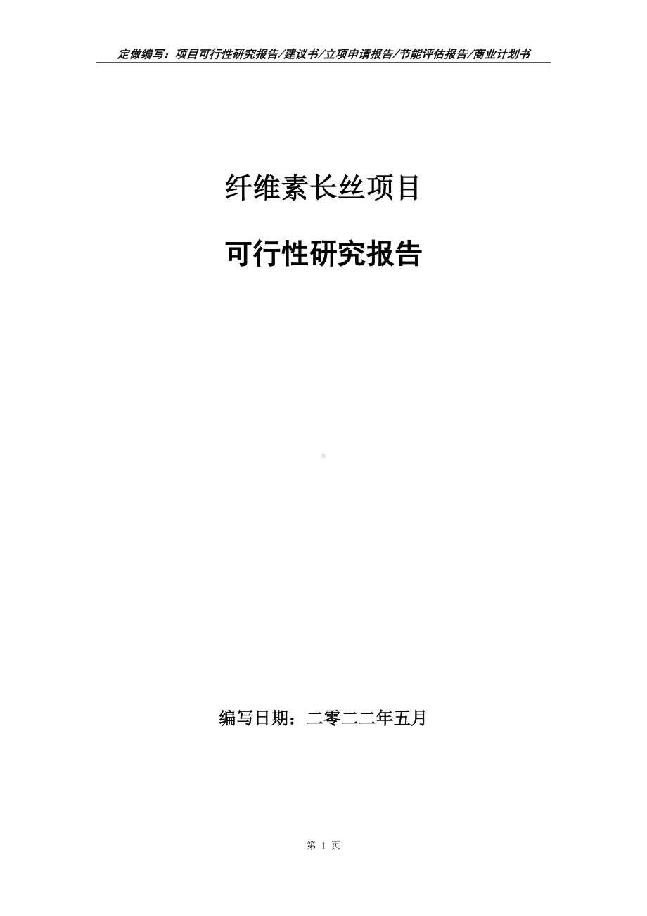 纤维素长丝项目可行性报告（写作模板）.doc_第1页