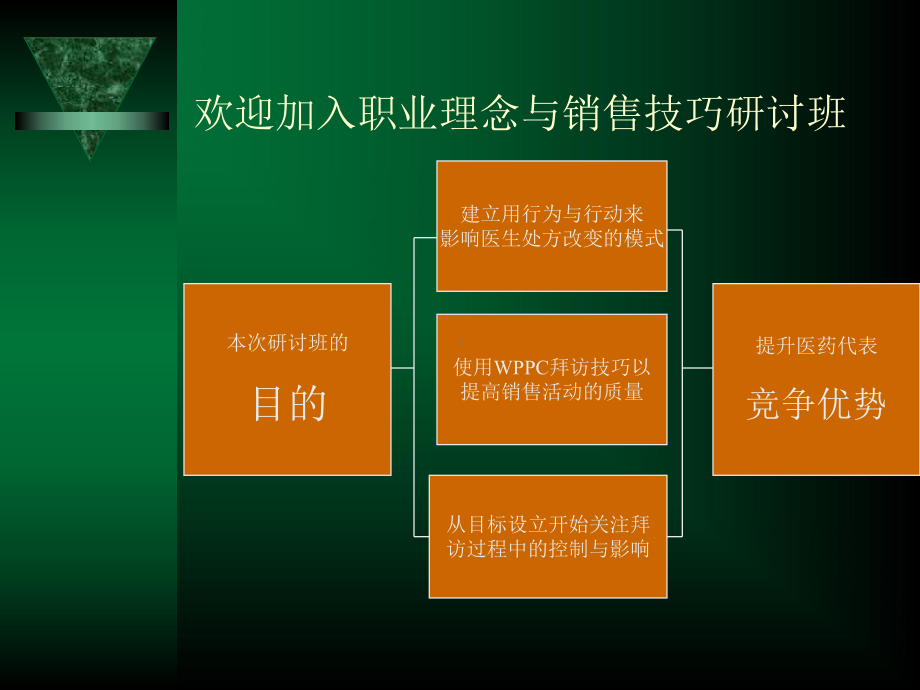 医药代表专业销售技巧与职业理念培训课件.ppt_第3页