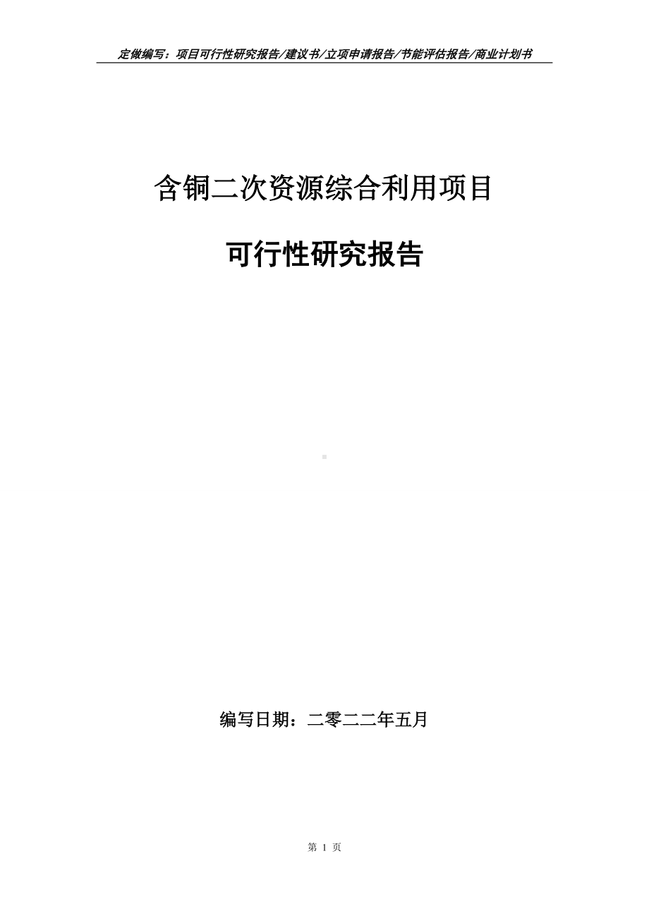 含铜二次资源综合利用项目可行性报告（写作模板）.doc_第1页