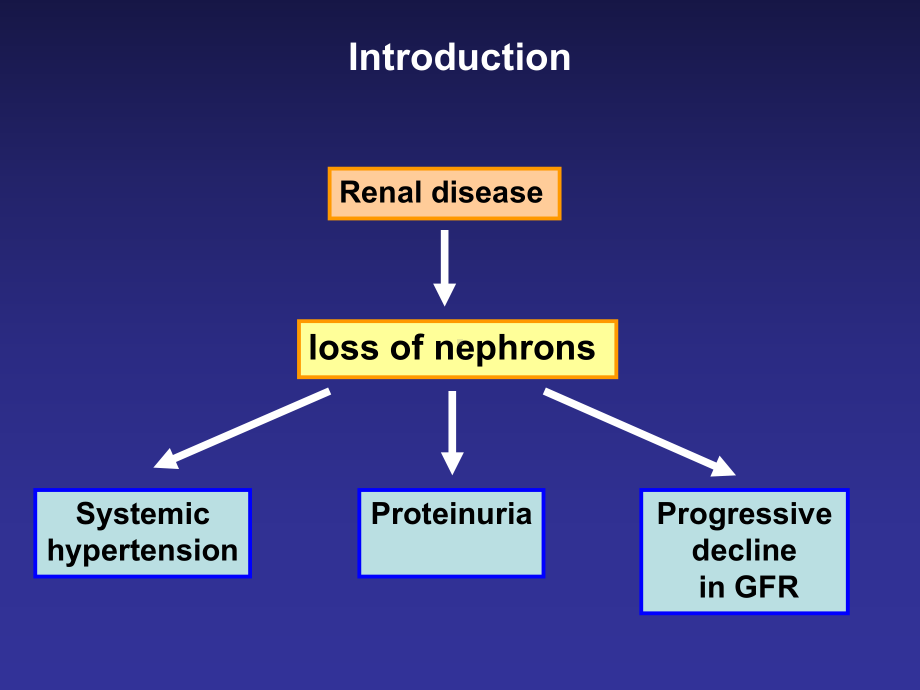 （高血压英文课件）肾性高血压-Hypertension-in-Nephrology.ppt_第2页