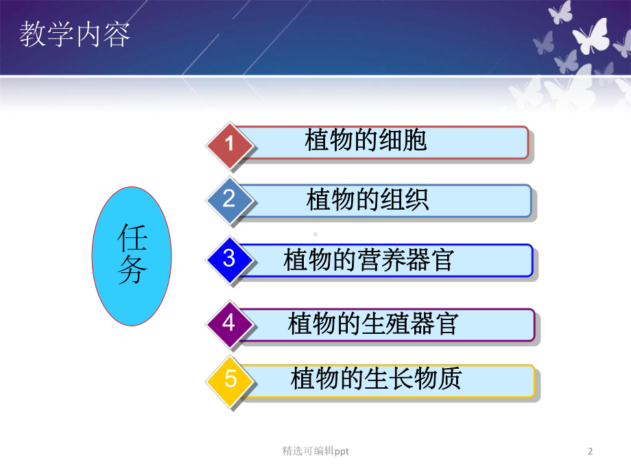 任务一-植物细胞课件.ppt_第2页