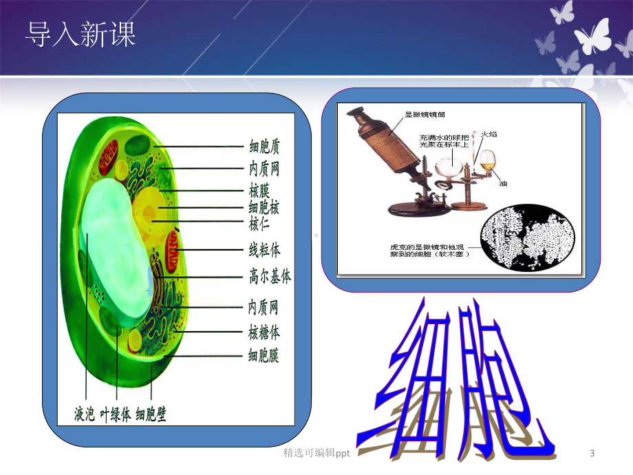 任务一-植物细胞课件.ppt_第3页