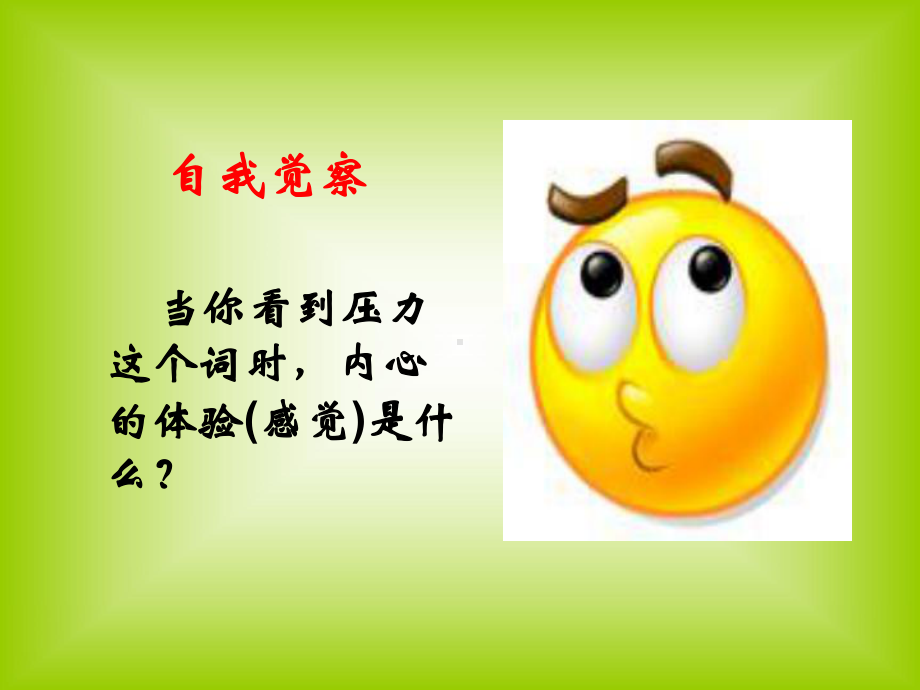 压力辅导讲座课件.ppt_第2页