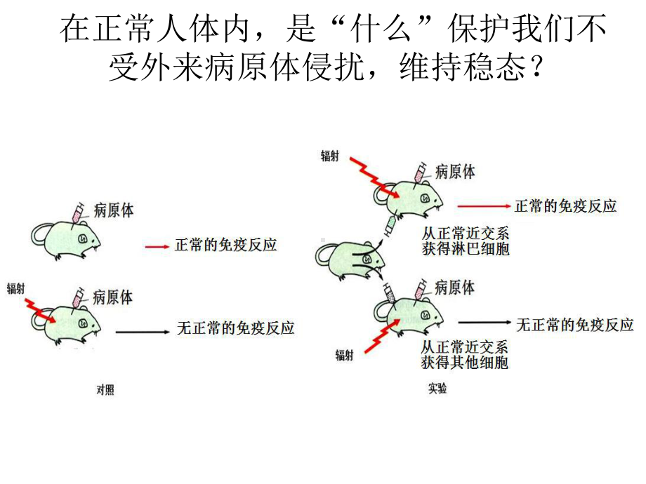 免疫调节48-人教课标版课件.ppt_第3页