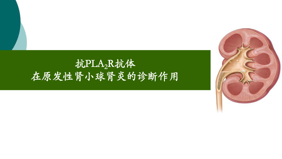 PLA2R在特发性膜性肾病诊断中的作用课件.ppt_第1页