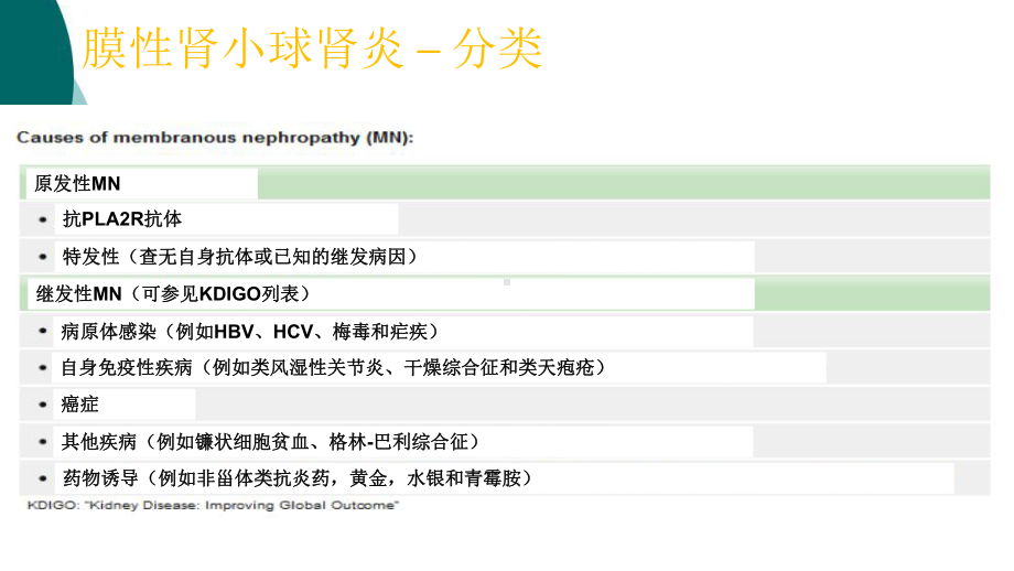 PLA2R在特发性膜性肾病诊断中的作用课件.ppt_第3页