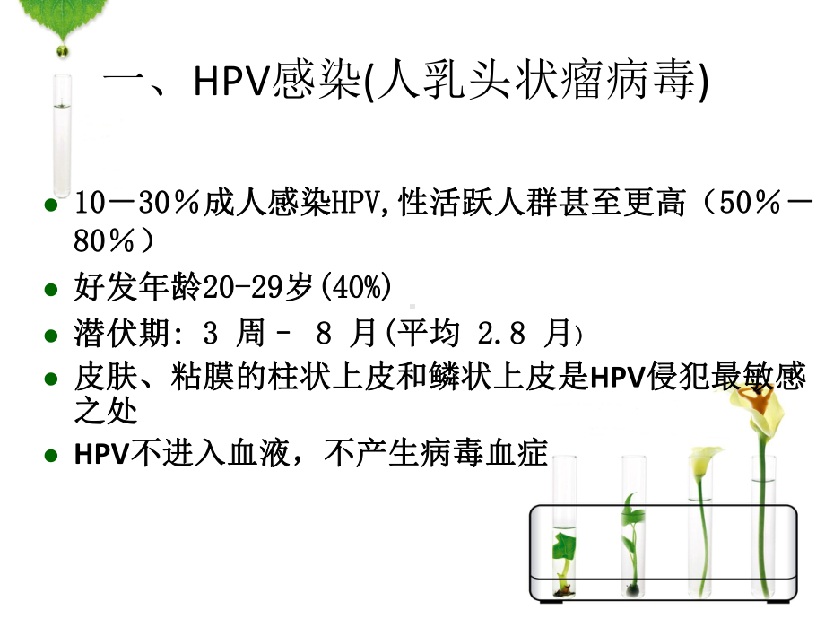 HPV感染与宫颈癌的宣传资料课件.ppt_第1页