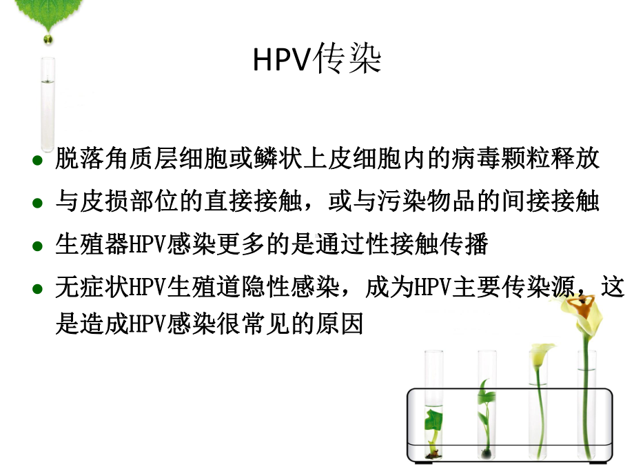 HPV感染与宫颈癌的宣传资料课件.ppt_第3页