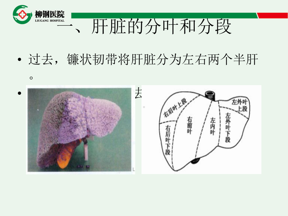 CT-肝脏分段及读片课件.ppt_第3页