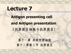 《医学免疫学教学》07-apc-a课件.ppt