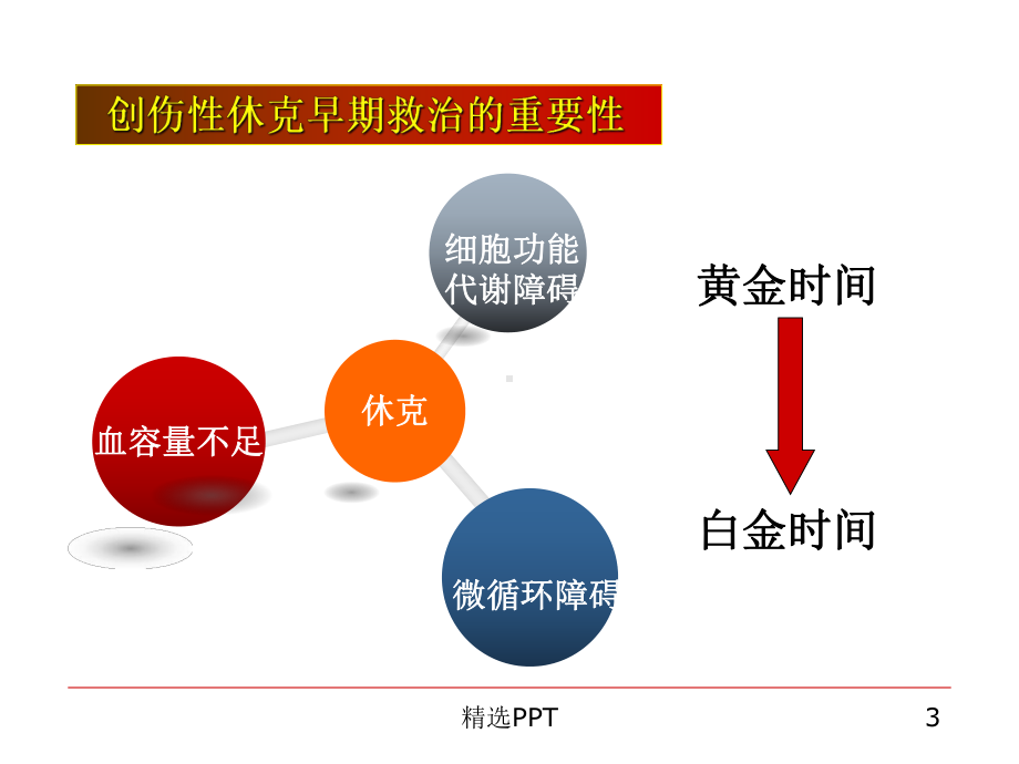 PiCCO在创伤中的价值课件.ppt_第3页