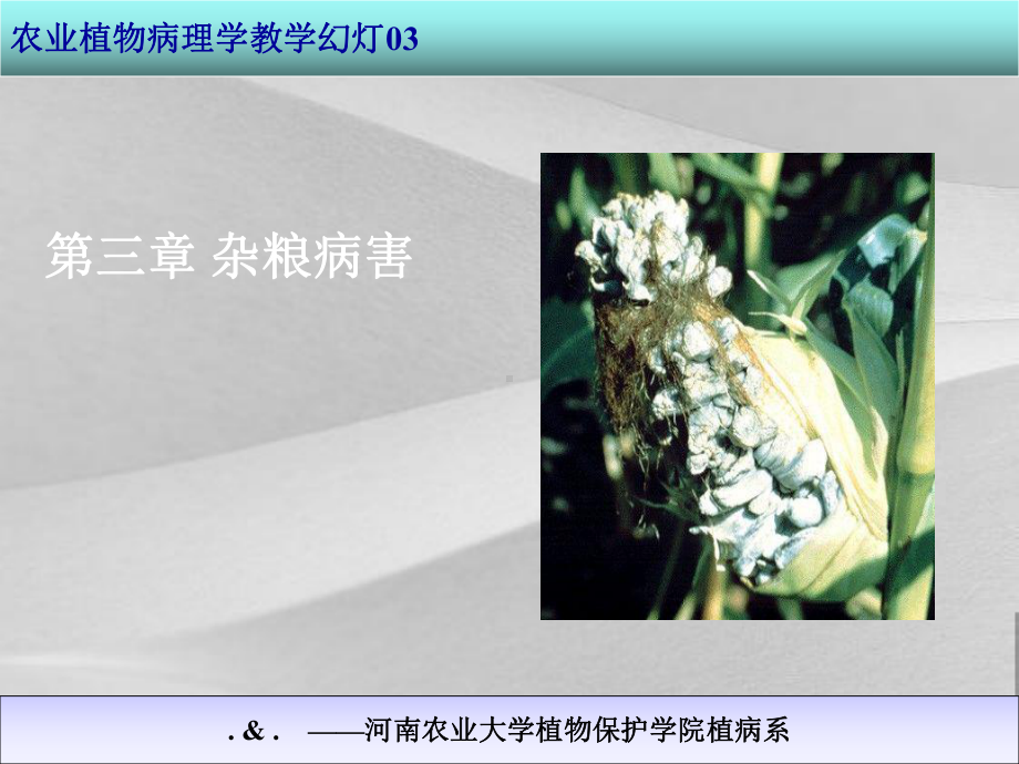 农业植物病理学杂粮病害概括课件.ppt_第1页