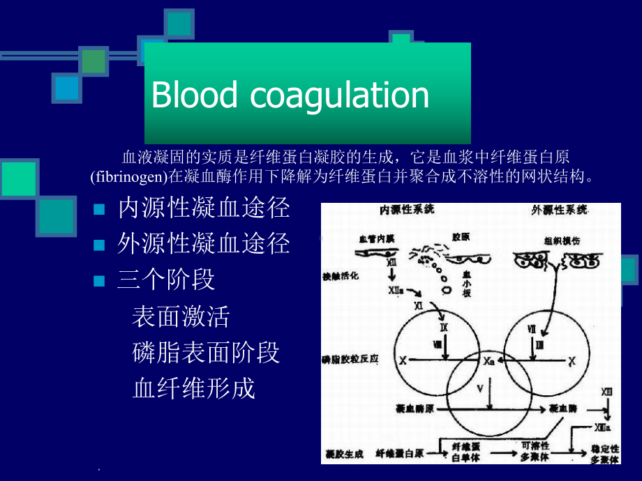 《凝血机制与临床》课件.ppt_第2页