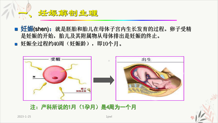 产前超声诊断产科正常超声检查与诊断课件.pptx_第1页