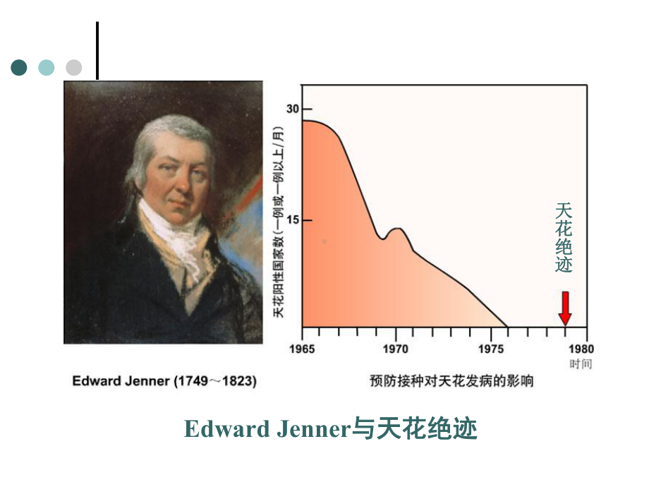 免疫学和免疫系统课件.ppt_第3页