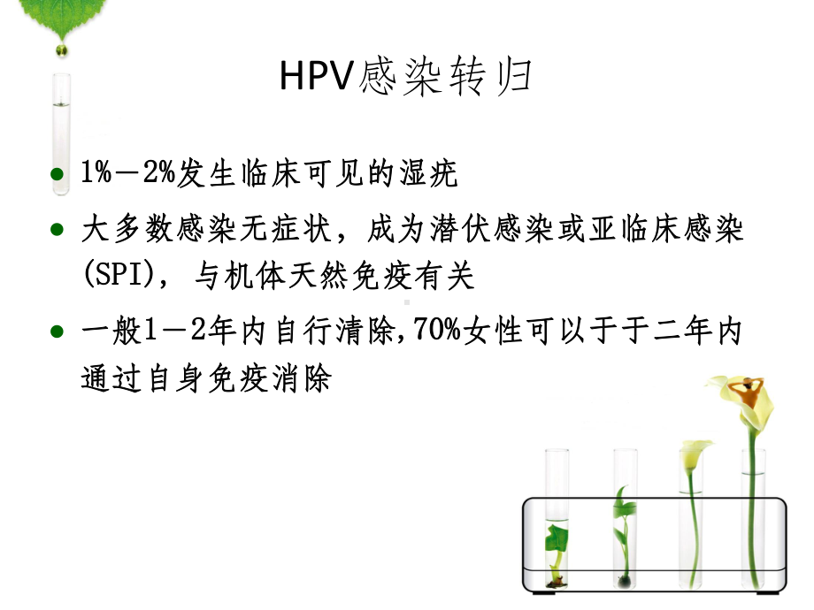 HPV感染与宫颈癌的宣传资料(同名1061)课件.ppt_第2页