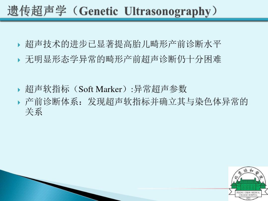 产前超声诊断超声软指标解读课件.ppt_第2页