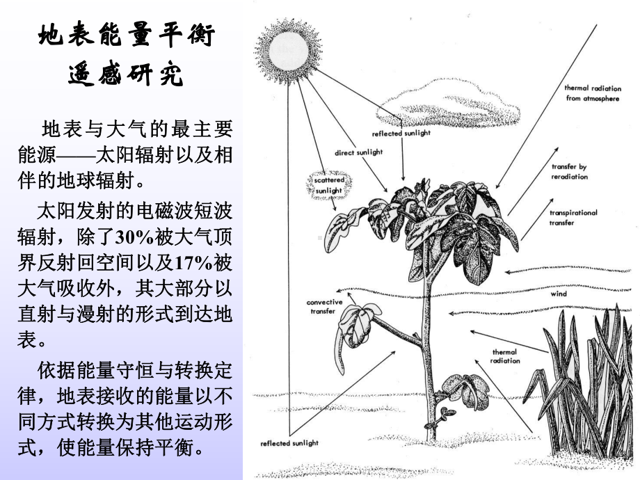 地表能量平衡课件.pptx_第2页