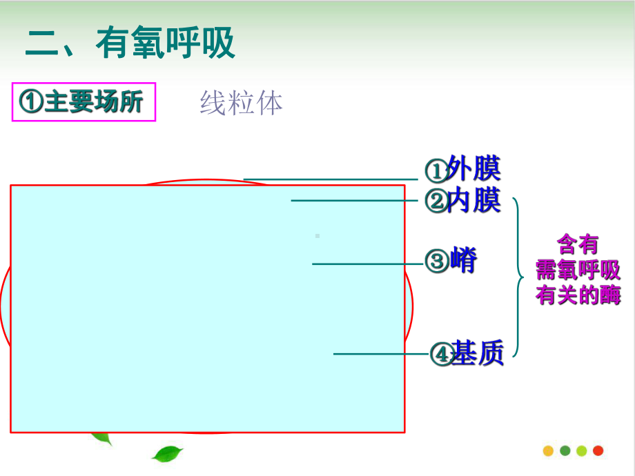 人教版高中生物必修一课件：ATP的主要来源-细胞呼吸.ppt_第3页