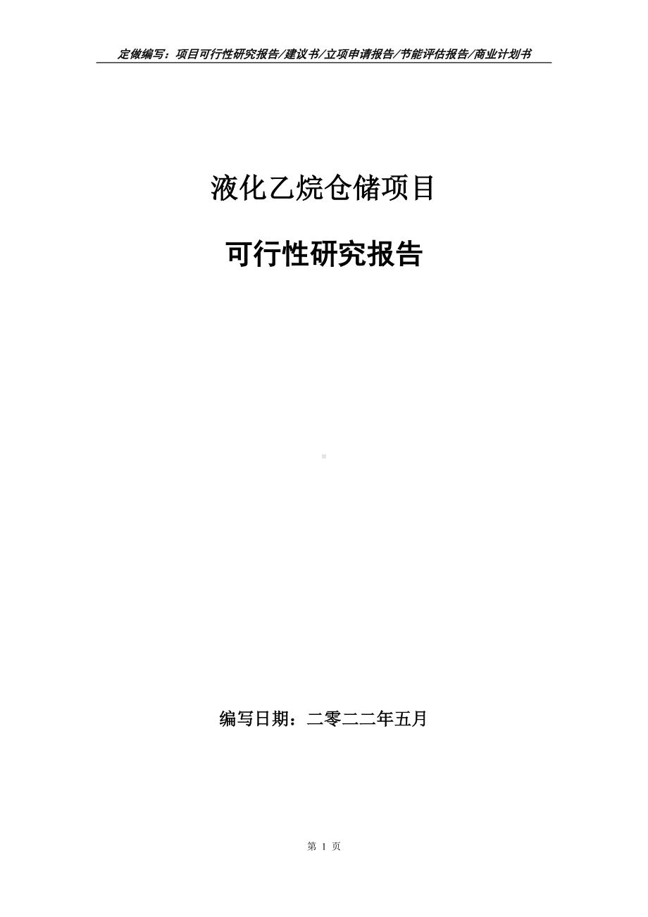 液化乙烷仓储项目可行性报告（写作模板）.doc_第1页